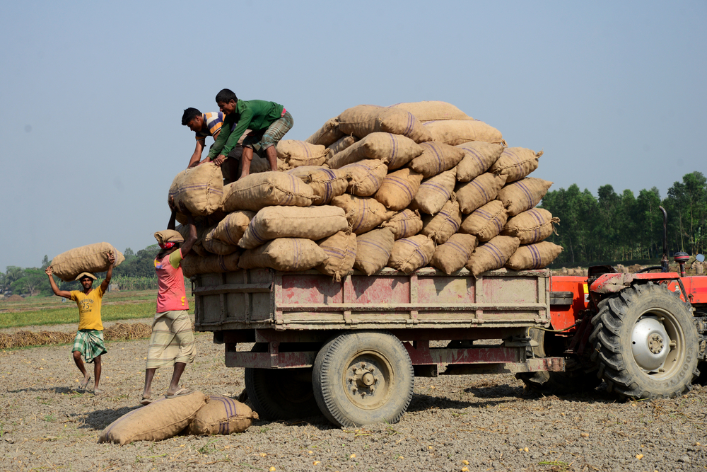 Retail Inflation For Farm, Rural Workers Eases In Jan