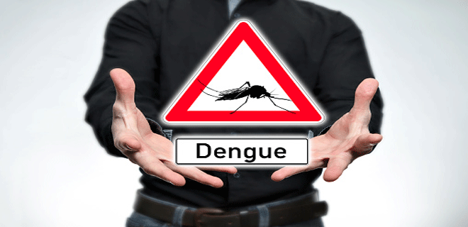 Does it make sense to buy a dengue-care-specific cover?