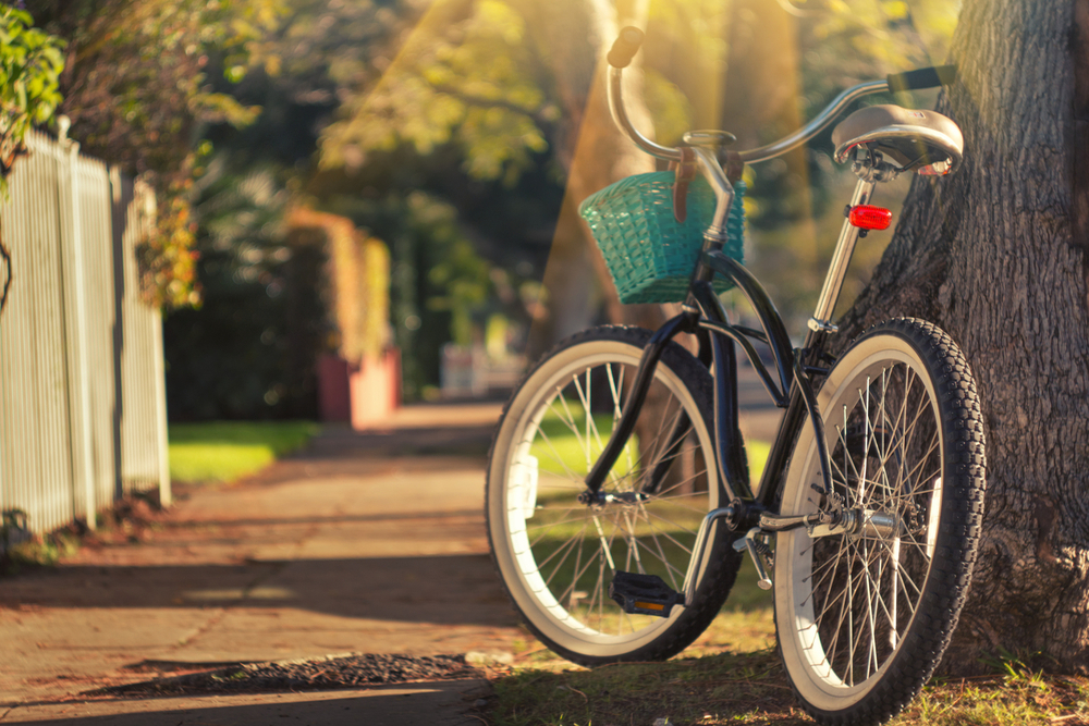 Bicycle Insurance—The New Trend