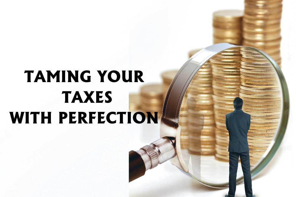 Taming Your Taxes with Perfection