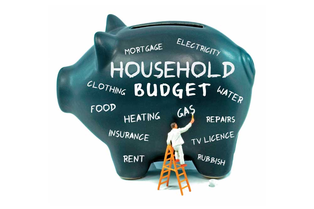 Household Budget: A Necessity